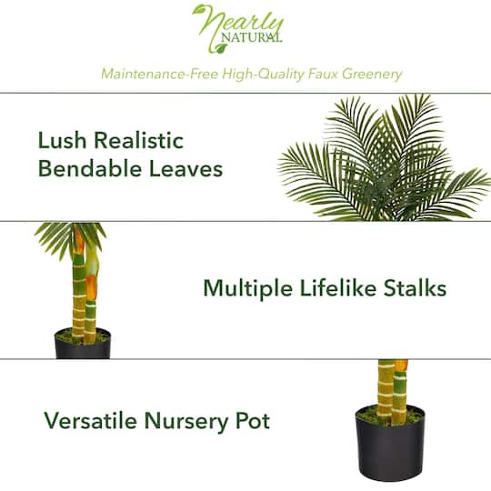 5ft. Potted Golden Cane Palm Tree